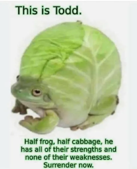 Half Frog Half Cabbage