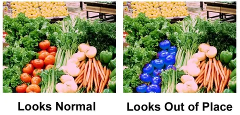 Looks Normal, Looks Out of Place
