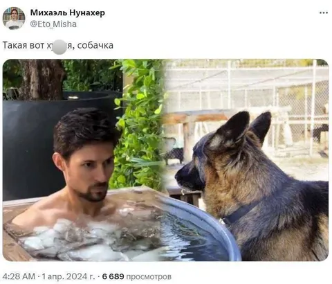 Такая вот хуйня, собачка