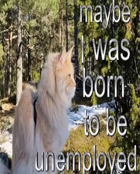 Lion Born to Be Unemployed