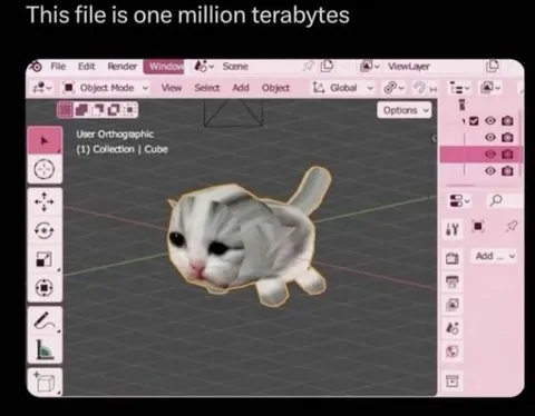 One Million Terabytes Cat