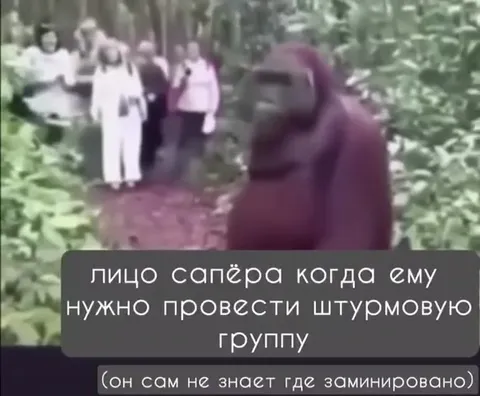 Сапёр ведёт штурмовую группу