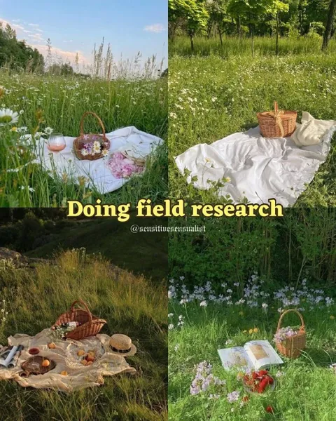 Doing Field Research