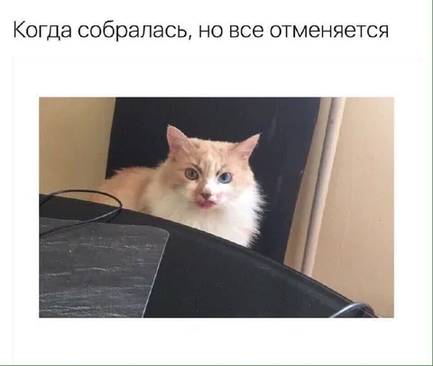 Когда все планы отменяются