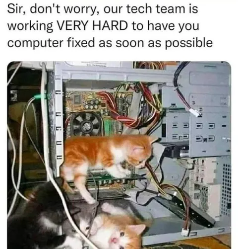 Tech Team Working Very Hard