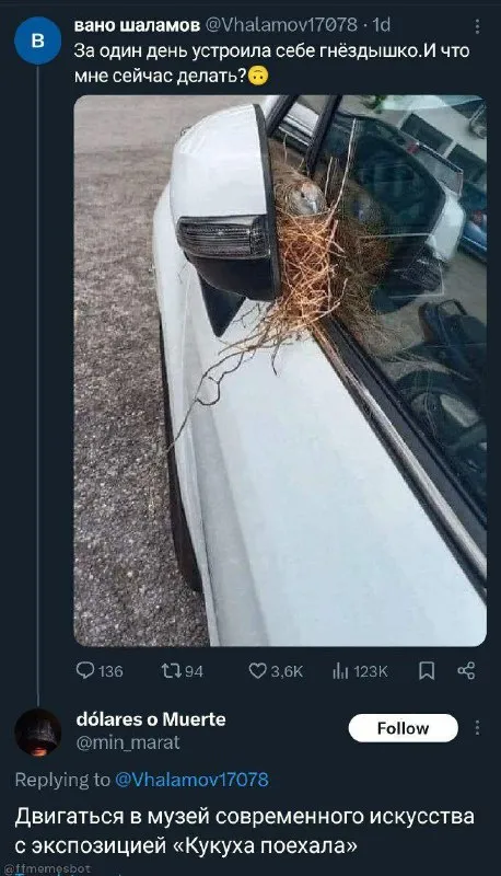 Гнёздышко на машине