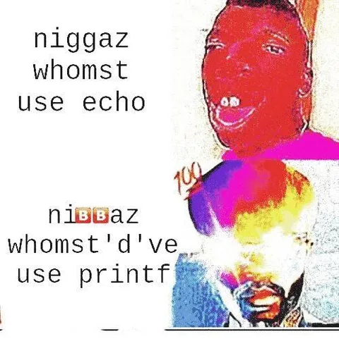 Echo Versus Printf Programmers