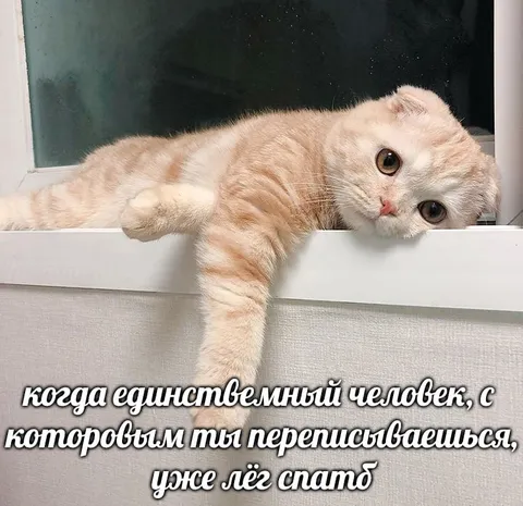 Когда единственный собеседник лёг спать