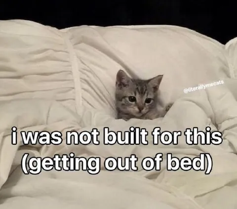 Not Built for Getting Out of Bed