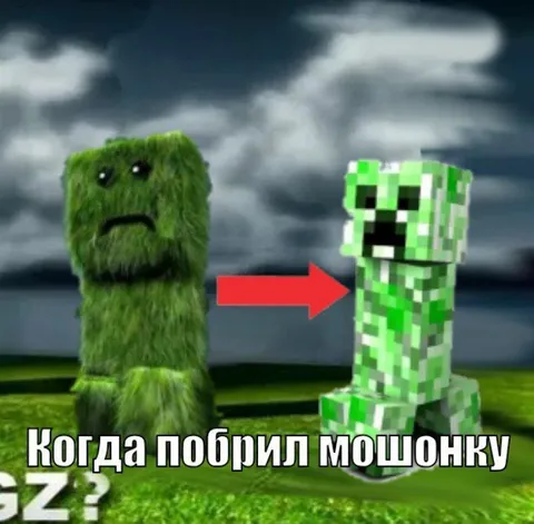 Когда побрил мошонку