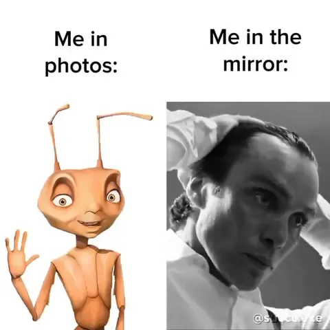 Me in Photos vs the Mirror