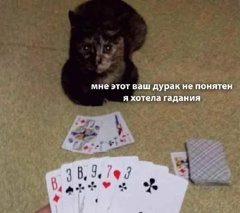 Кошка хотела гадания