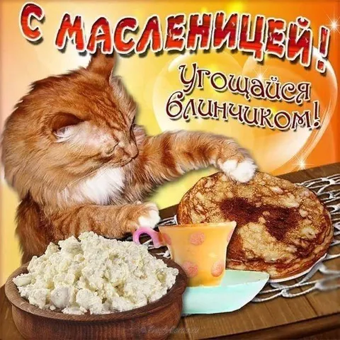Кот угощает блинами