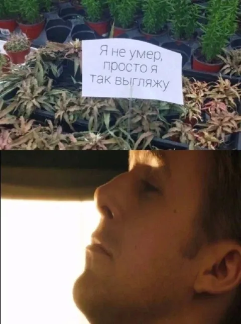 Я не умер, просто так выгляжу