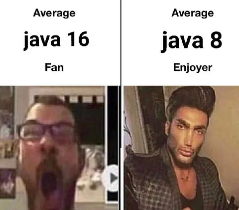 Average Java 16 Fan vs Java 8 Enjoyer