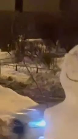Снежный человек во дворе