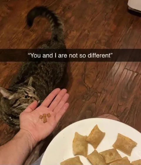 You and I Are Not So Different