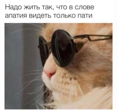 В апатии видеть только пати