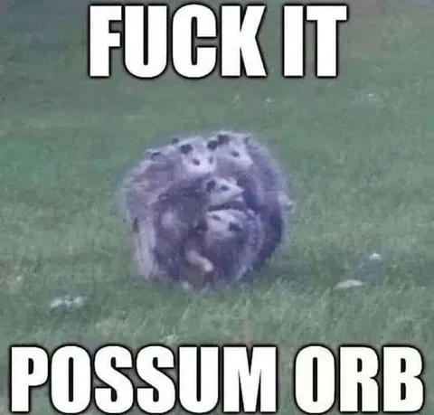 Fuck It Possum Orb