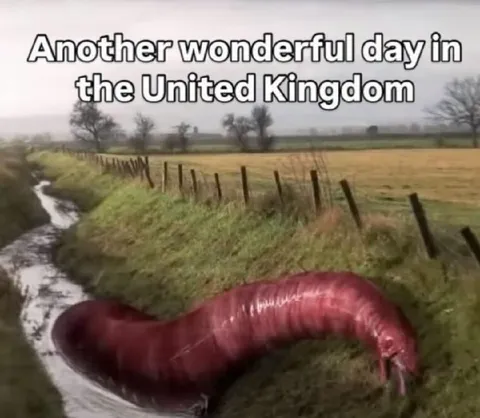 Another Wonderful Day in Britain