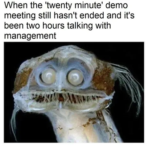 Two-Hour Demo Meeting