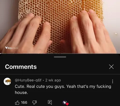 Bee Claims the Honeycomb House