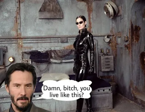 Damn Bitch You Live Like This
