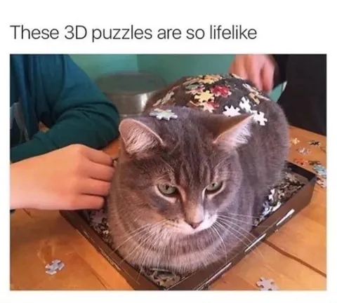 Lifelike 3D Puzzle Cat