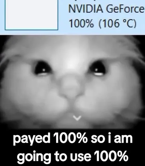 Paid for 100%, Uses 100%