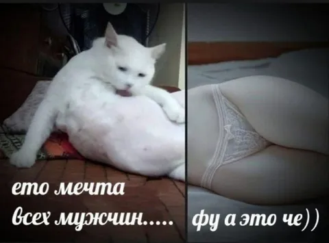 Мечта всех мужчин