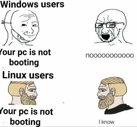 Windows Users vs Linux Users
