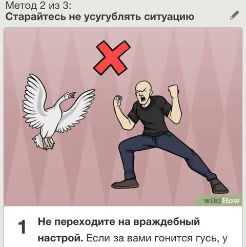 Не усугубляйте ситуацию с гусём