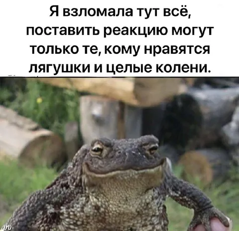 Лягушка для своих