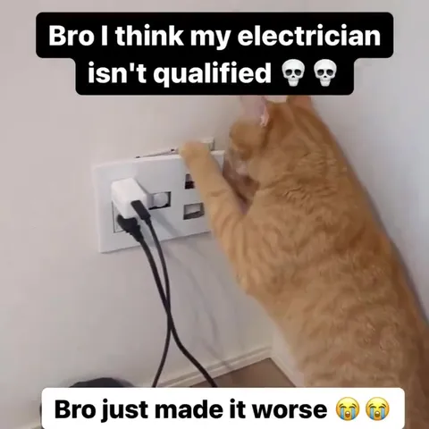 Cat Makes the Outlet Worse