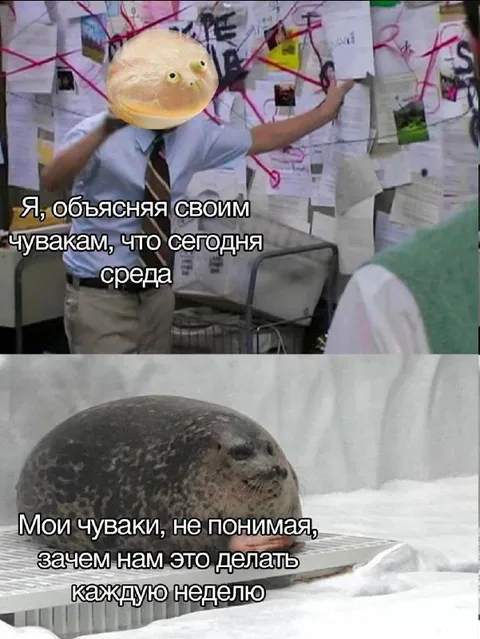 Объясняю, что сегодня среда