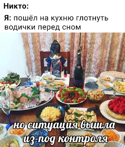 Кот устроил праздничный ужин