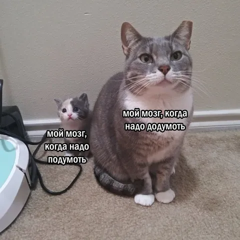 Мозг когда надо подумать