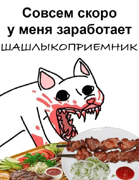 Кот ждёт шашлыкоприемник