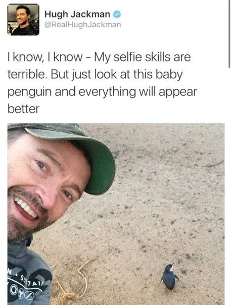 Hugh Jackman Baby Penguin Selfie