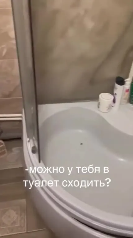 Кот занял туалет