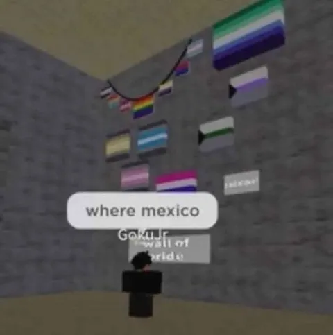 Where Mexico Flag
