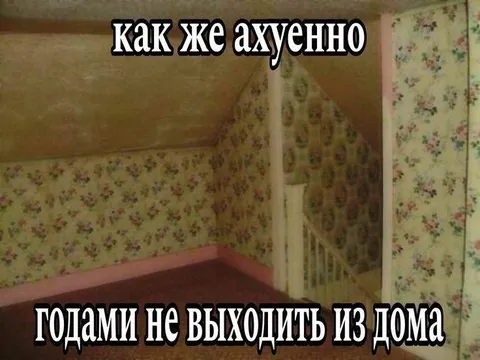 Годами не выходить из дома