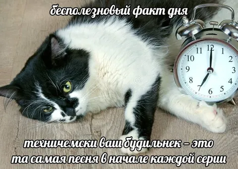 Будильник — самая песня
