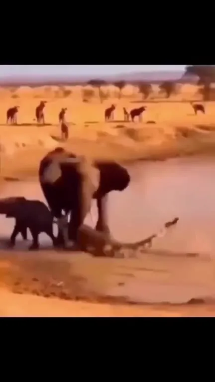 Elephant Sees a Flying Dinosaur