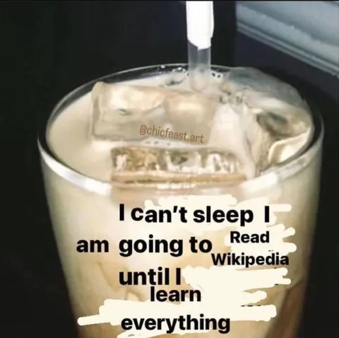 Can't Sleep, Must Learn Everything