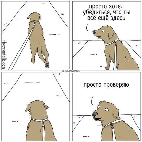 Просто проверяю, ты ещё здесь