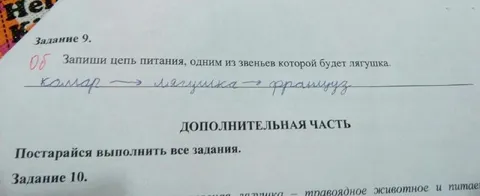 Цепь питания с французом