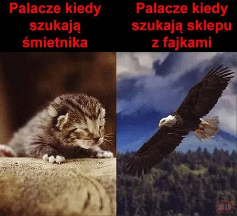 Palacze szukają śmietnika