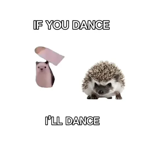 Hedgehogs Will Dance Anyway