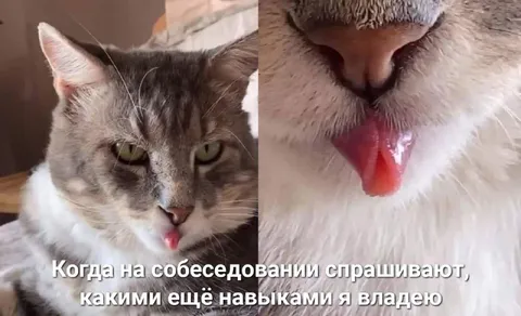 Навыки на собеседовании